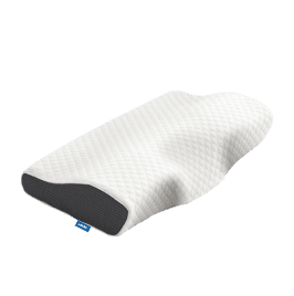 1 Seat cushion