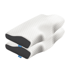 2 Seat cushions
